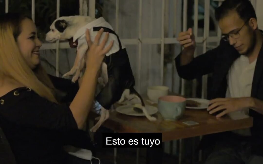Hillary & Ricardo [Propuesta]